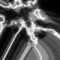Click to read this material