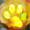 Click to read this material