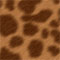 Click to read this material