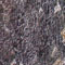 Click to read this material