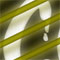 Click to read this material