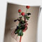 Click to read this material