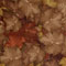 Thanksgiving Web Design Elements