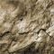 Click to read this material