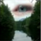 Click to read this material
