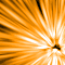 Click to read this material