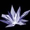Click to read this material