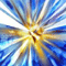 Click to read this material