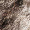 Click to read this material