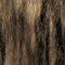 Click to read this material