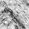 Click to read this material