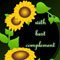 Thanksgiving Web Design Elements