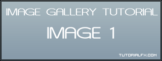 Image Gallery Tutorial: Final Result