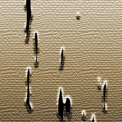Rips Tutorial: Final Result