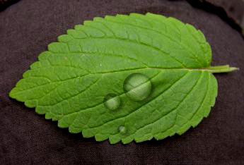 Water Drop Tutorial: Final Result