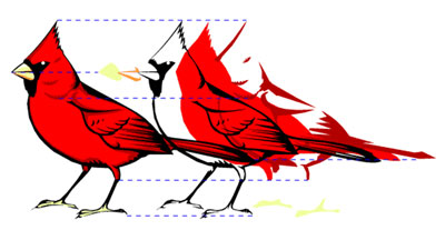 Click to enlarge