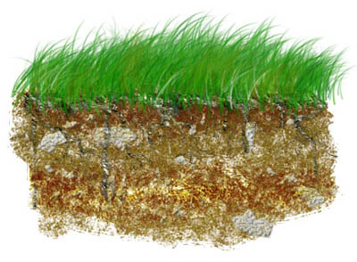 earth section