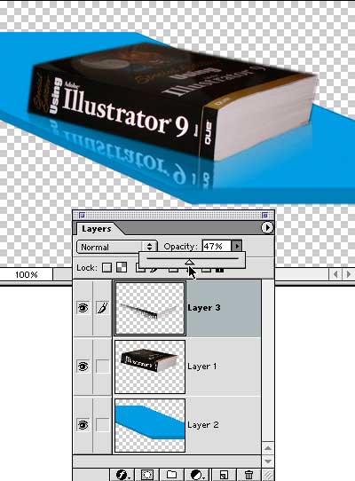 Creating Basic Reflections Tutorial: Final Result