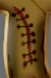 image 24
