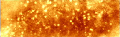 Sparkles/Star Effect Tutorial: Final Result