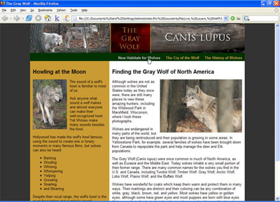 Creating a Navigation Bar with CSS Tutorial: Final Result (Click to enlarge)