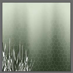 image 30