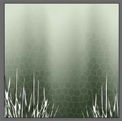 image 32