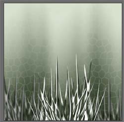 image 37