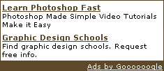 Google's Adsense - Do You Need It