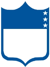 NFL Logo 12