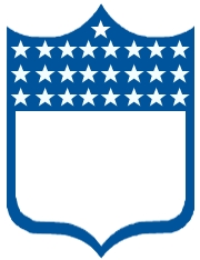 NFL Logo 13