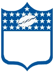 NFL Logo 16