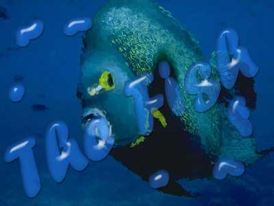 Water Ink Text Tutorial: Final Result