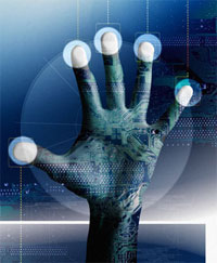 Webmasters Are Obsessing Over Page Rank