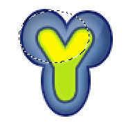 image 31