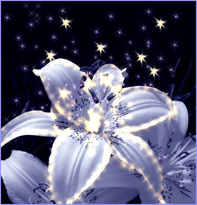 Fairy Dust