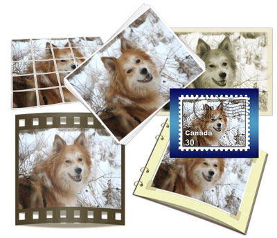 Create Beautiful Photos In Minutes With Easy Actions Tutorial: Final Result (Click to enlarge)