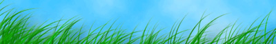 Grass Field Text Tutorial: Final Result