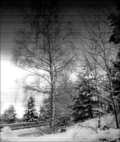 Infrared Camera Effect Tutorial: Final Result (Click to enlarge)