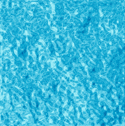 Realistic Water Tutorial: Final Result