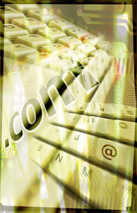 The Neccessity of a Domain Name