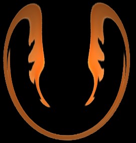 image 21