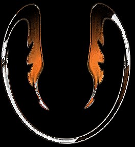 image 23