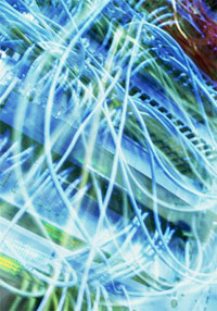 Web Hosting For Online Business