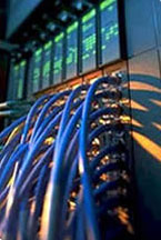 Choose a Dedicated Host for Exclusive Web Service