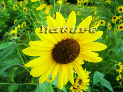 Text Effect Tutorial: Final Result (Click to enlarge0