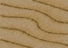 Desert Texture