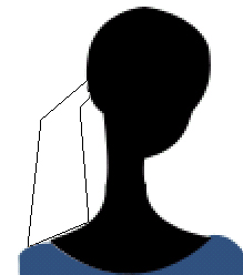 image 23