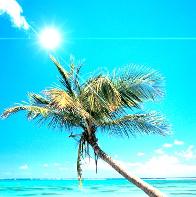 Linear Light Effect Cloudy or Grey Skies to Warm Sunny Fast Tutorial: Final Result