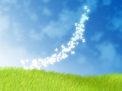 Butterfly Wallpaper Design butterflies wallpapers. Butterfly Wallpaper Design